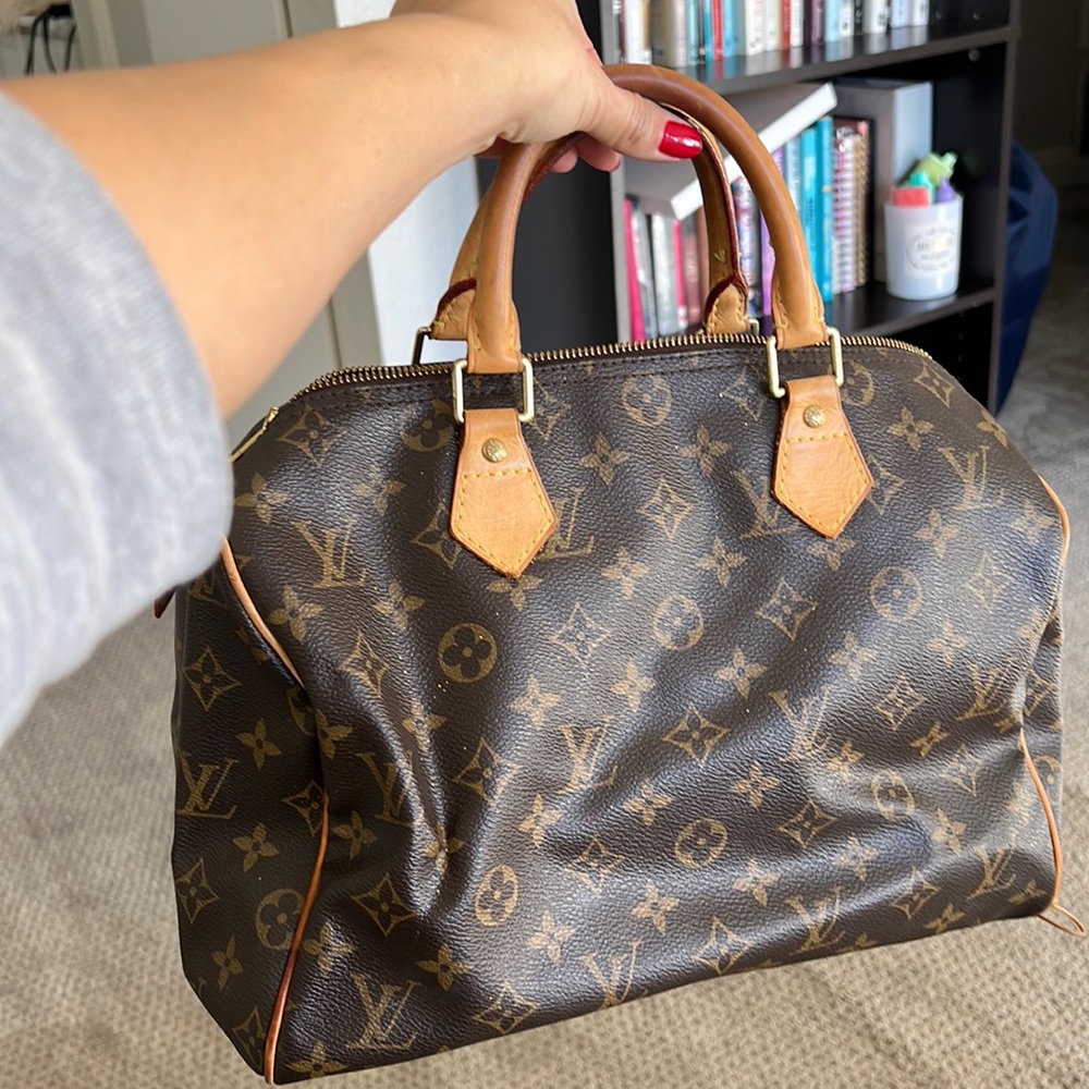 Louis Vuitton purse